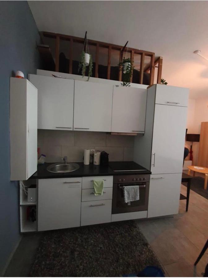 Modern Studio With Mezzanine Le Mont-Sur-Lausanne 외부 사진