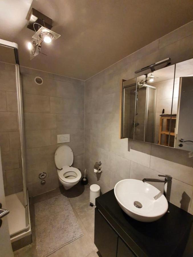 Modern Studio With Mezzanine Le Mont-Sur-Lausanne 외부 사진